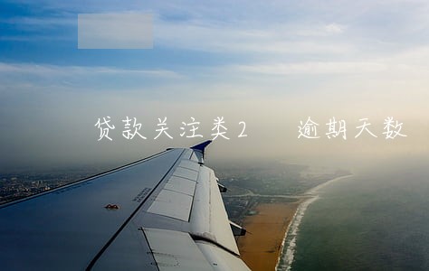 贷款关注类2 逾期天数 贷款关注类2 逾期天数